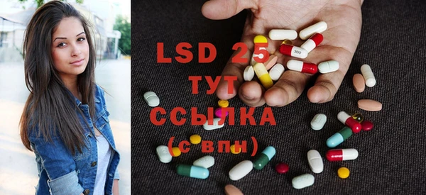 индика Балахна