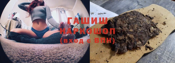 стаф Алзамай