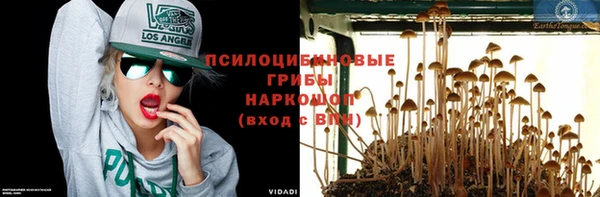индика Балахна